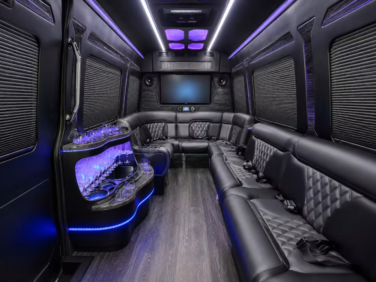 14 passenger sprinter limousine interior